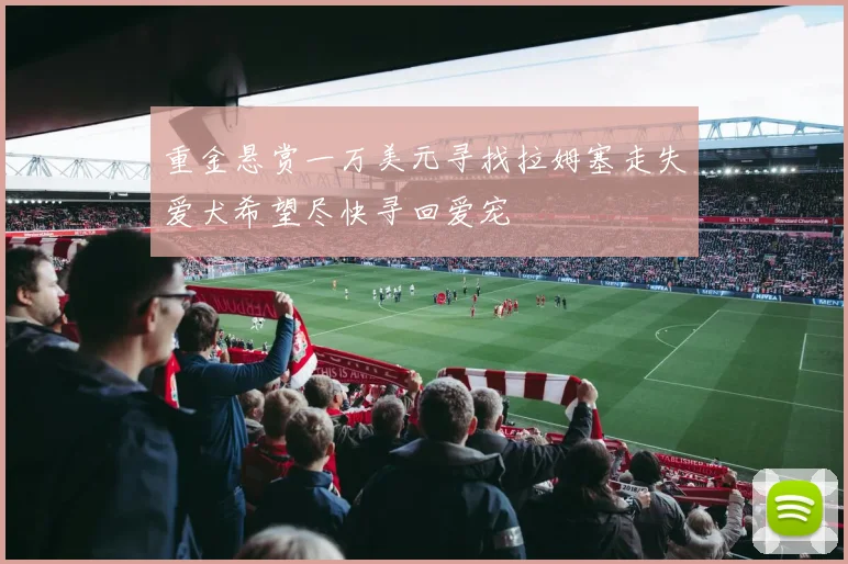 重金悬赏一万美元寻找拉姆塞走失爱犬希望尽快寻回爱宠