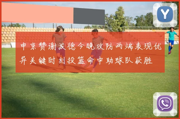 申京赞谢泼德今晚攻防两端表现优异关键时刻投篮命中助球队获胜